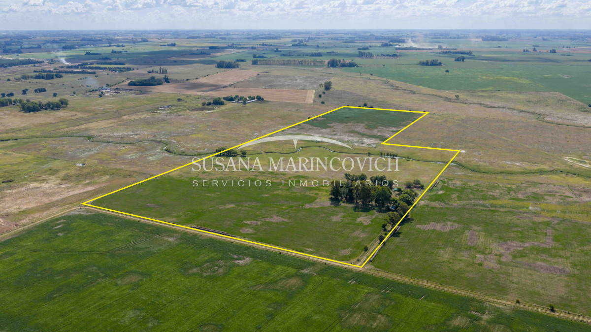 Chacra en Cucullú | 26ha