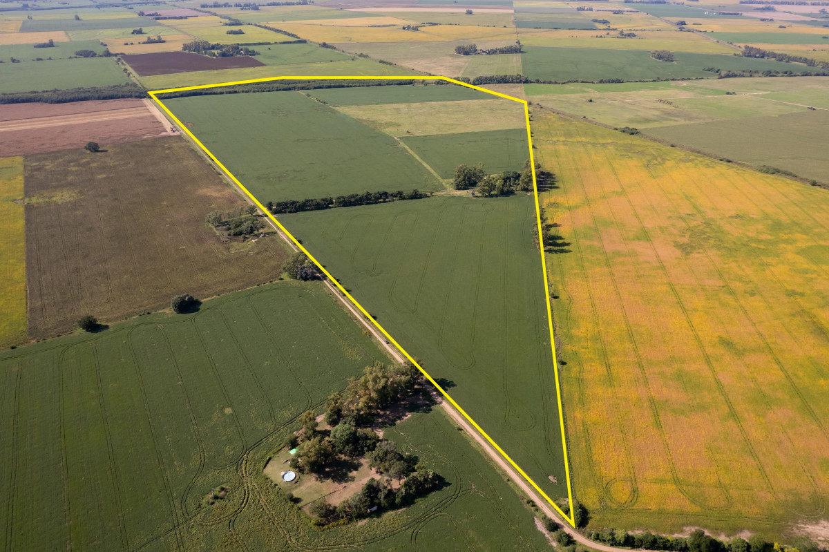 Campo en Arrecifes | 93ha