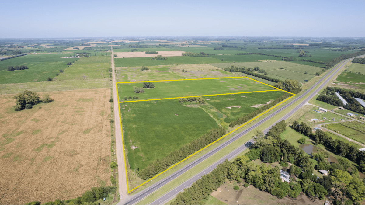 Campo en San Andrés de Giles | 22ha