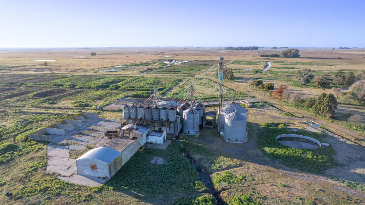 Feedlot | 102ha 15.000 cabezas