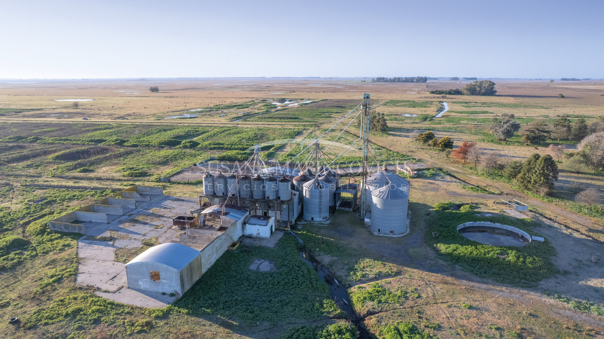 Feedlot | 102ha 15.000 cabezas