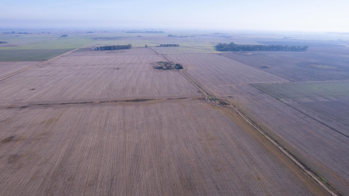 Campo agrícola en Chacabuco | 265ha