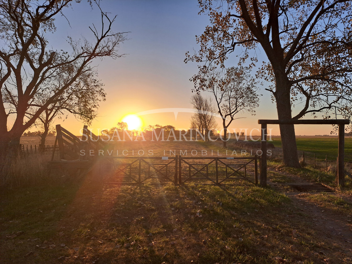Campo en Saladillo | 200ha