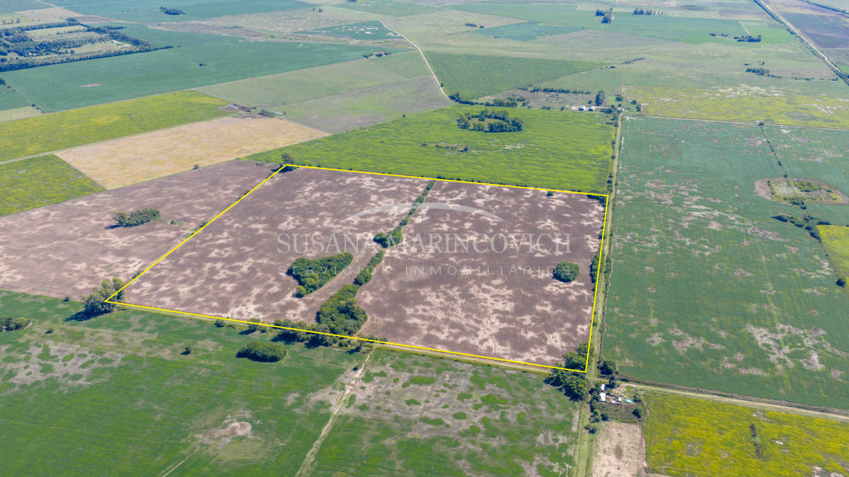 Campo en Carmen de Areco | 55ha