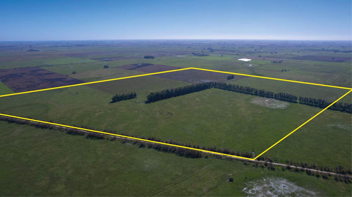 Campo mixto en venta San Andres de Giles 188ha