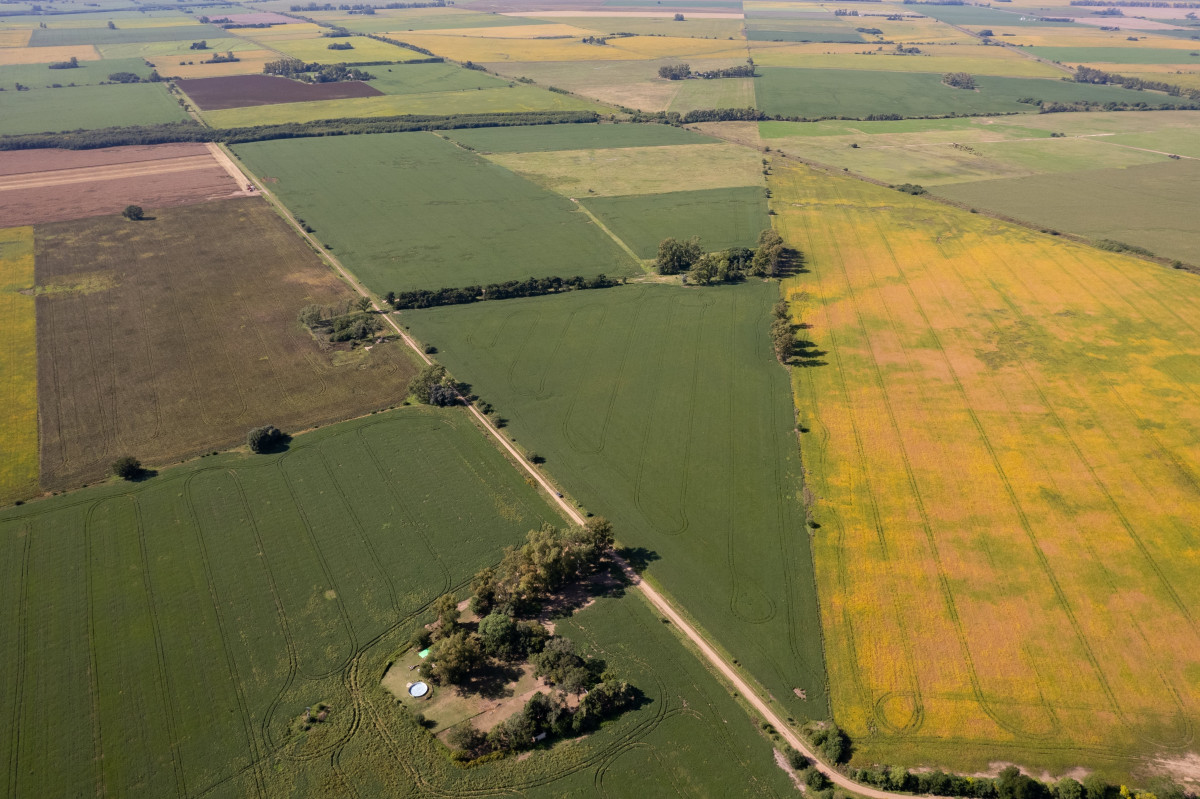 Campo en venta en Arrecifes 93ha