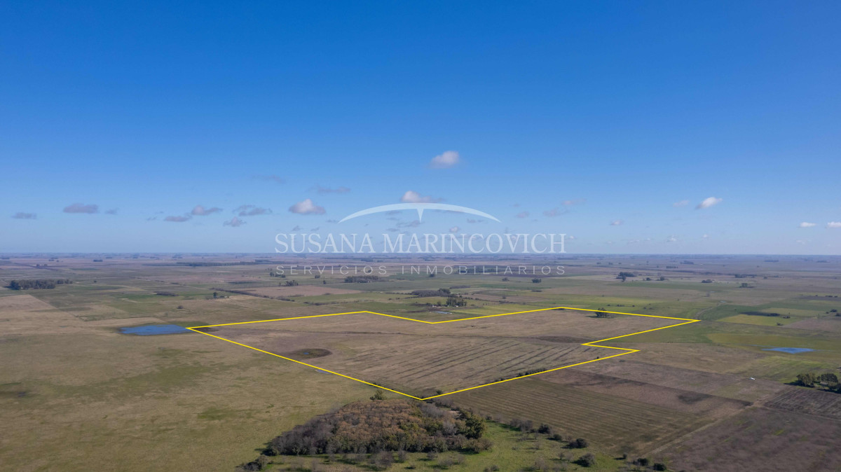 Campo en Navarro | 80ha