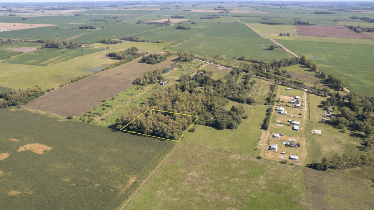 Lote de 1ha en Villa Ruiz