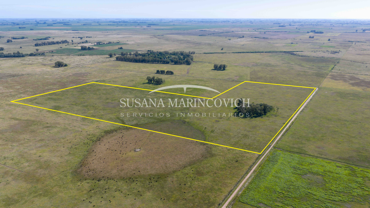 Campo en Tuyuti | 40ha