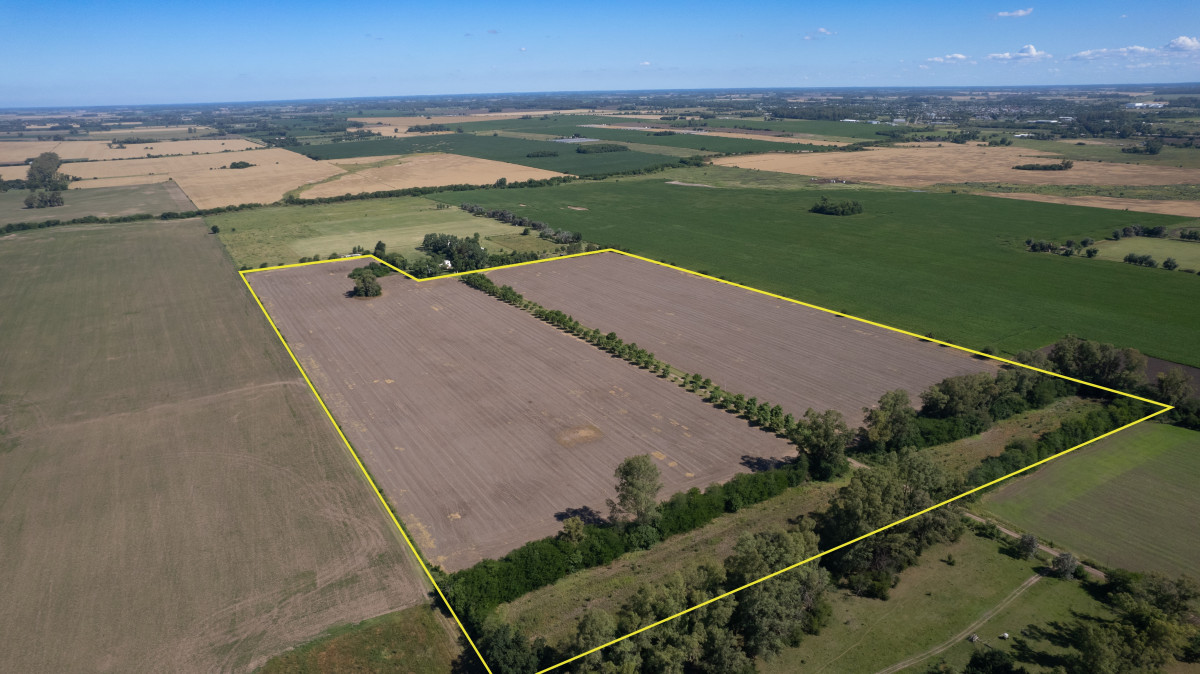 Campo agricola en San Andres de Giles 25ha