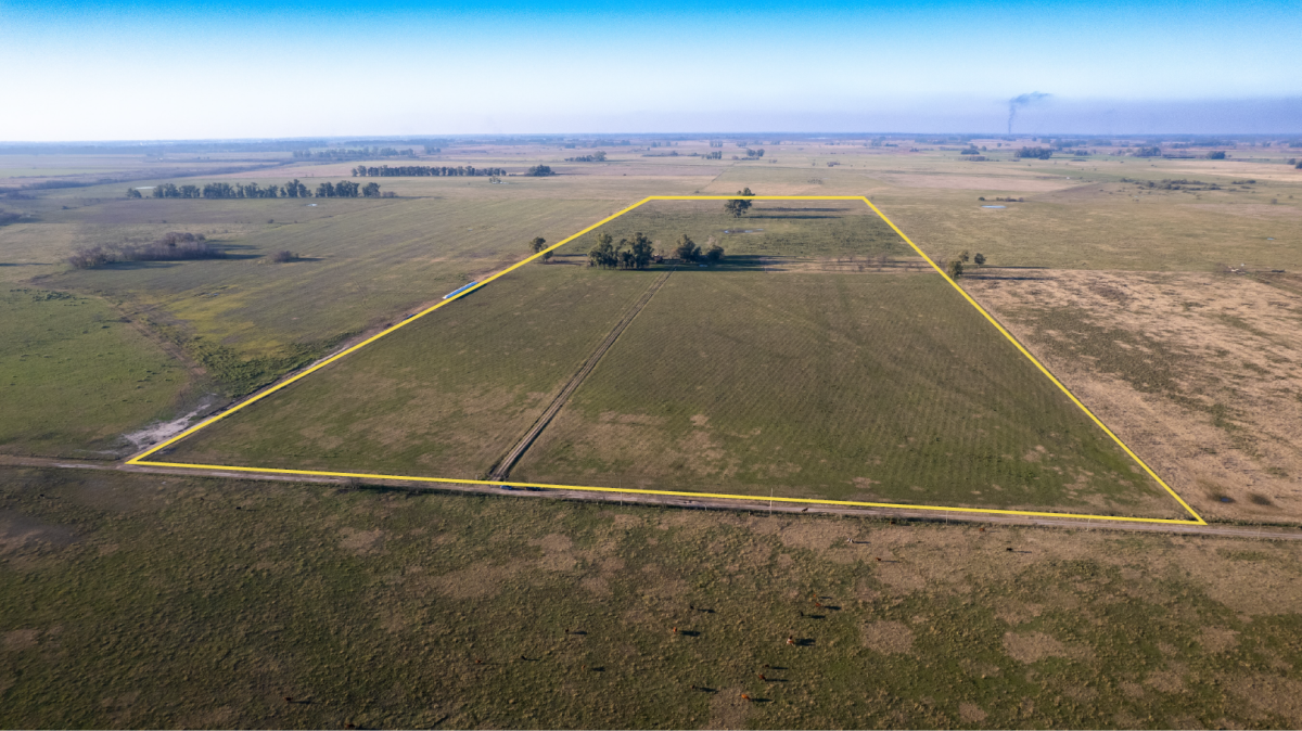 Campo en Marcos Paz | 48ha mixto