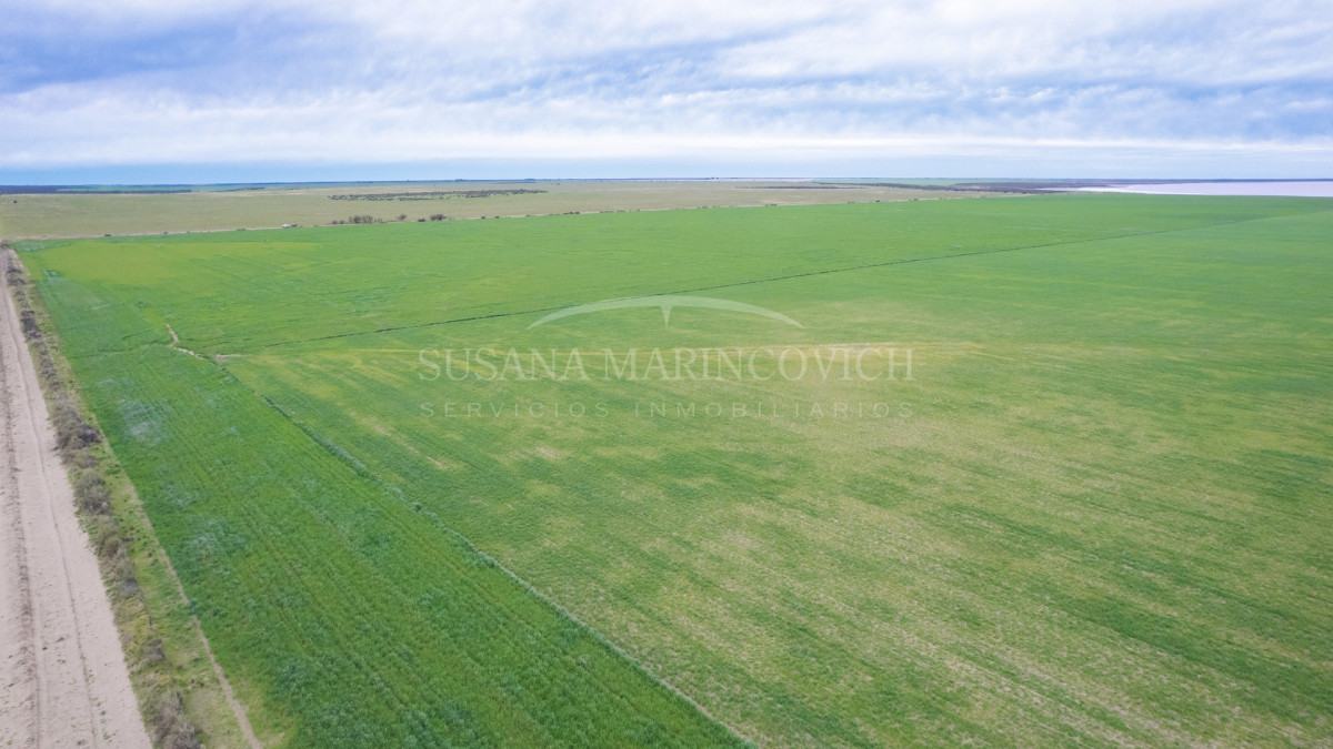 Campo en Carmen de Patagones | 2724ha
